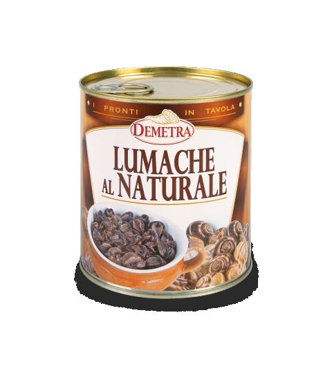 44871_2284.png3783.jpg