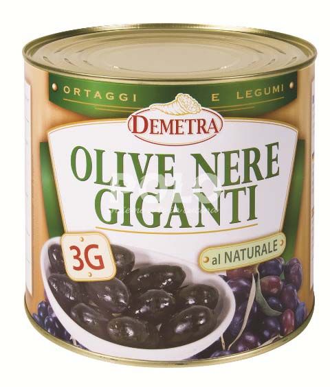 10002019.jpg13488.jpg