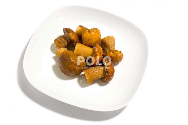 01025020.jpg4361.jpg