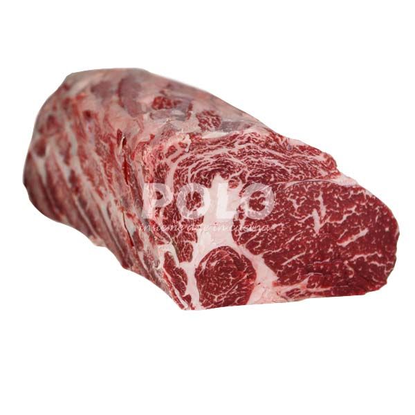03154834.jpg5554.jpg