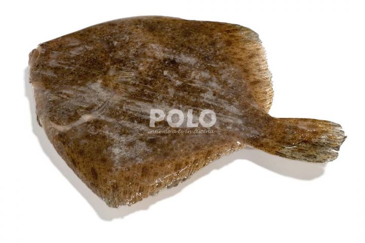06106320.jpg6977.jpg