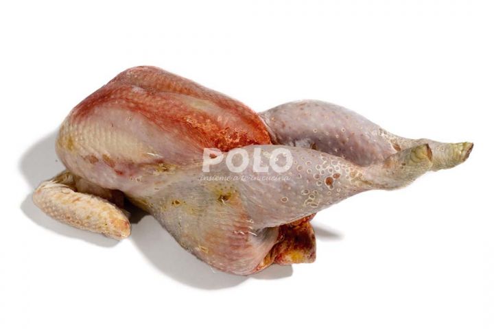 02014510.jpg4634.jpg