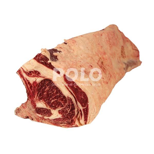 03058521.jpg5146.jpg