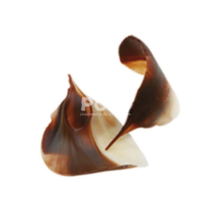 09930015.jpg9565.jpg