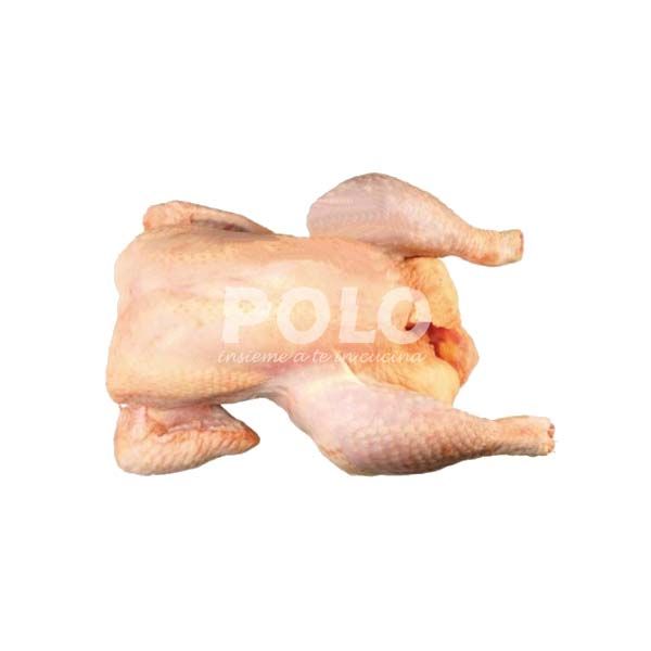 02014515.jpg4638.jpg